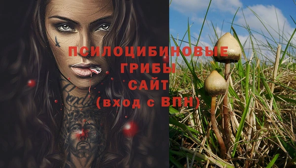 a pvp Магадан