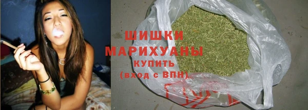 амф Майский