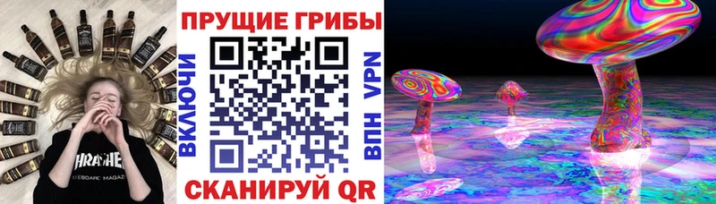 наркота  Семикаракорск  Псилоцибиновые грибы Cubensis 